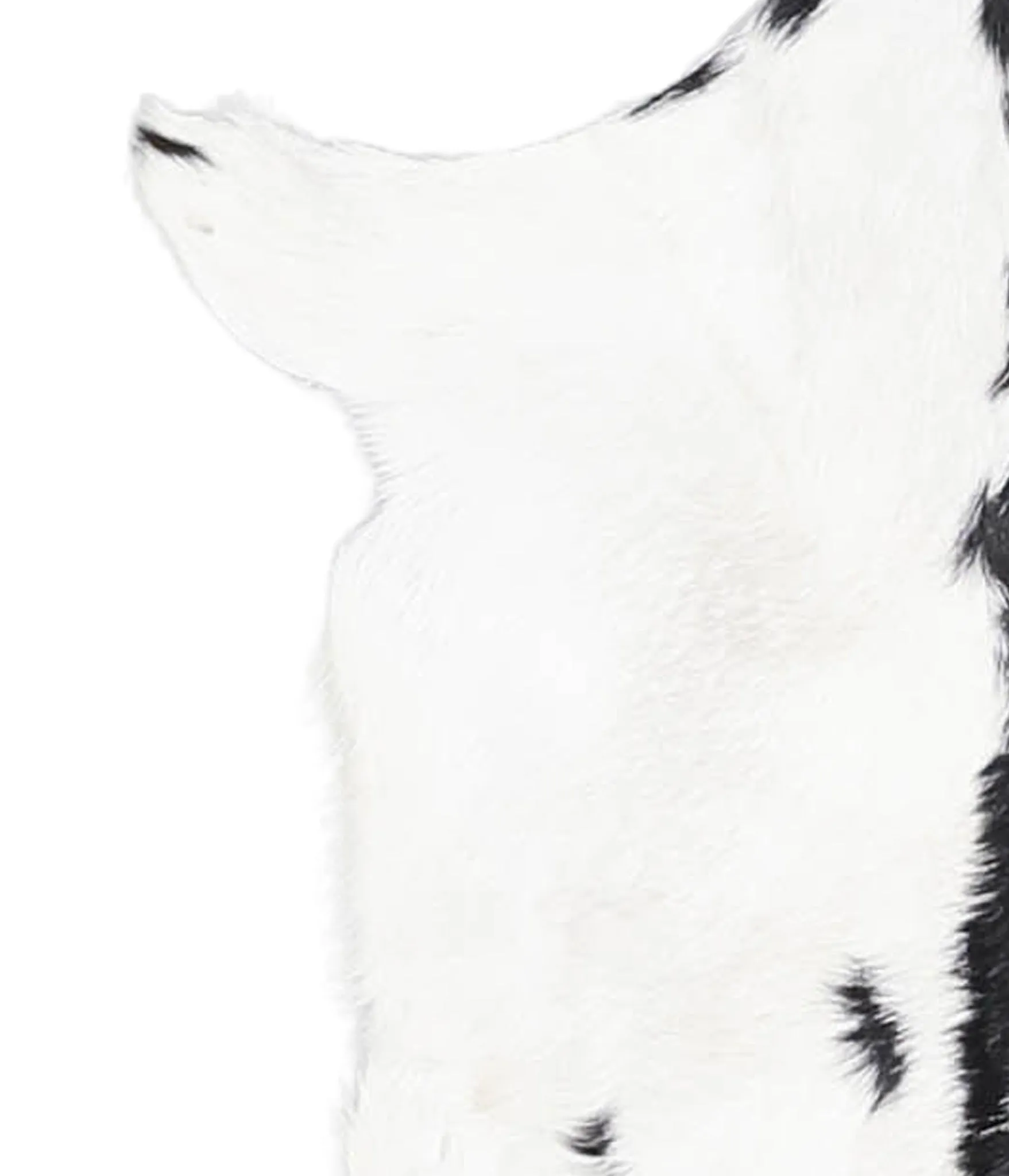 Goatskin Approx 2'3 #A27518 by Hudson Hides