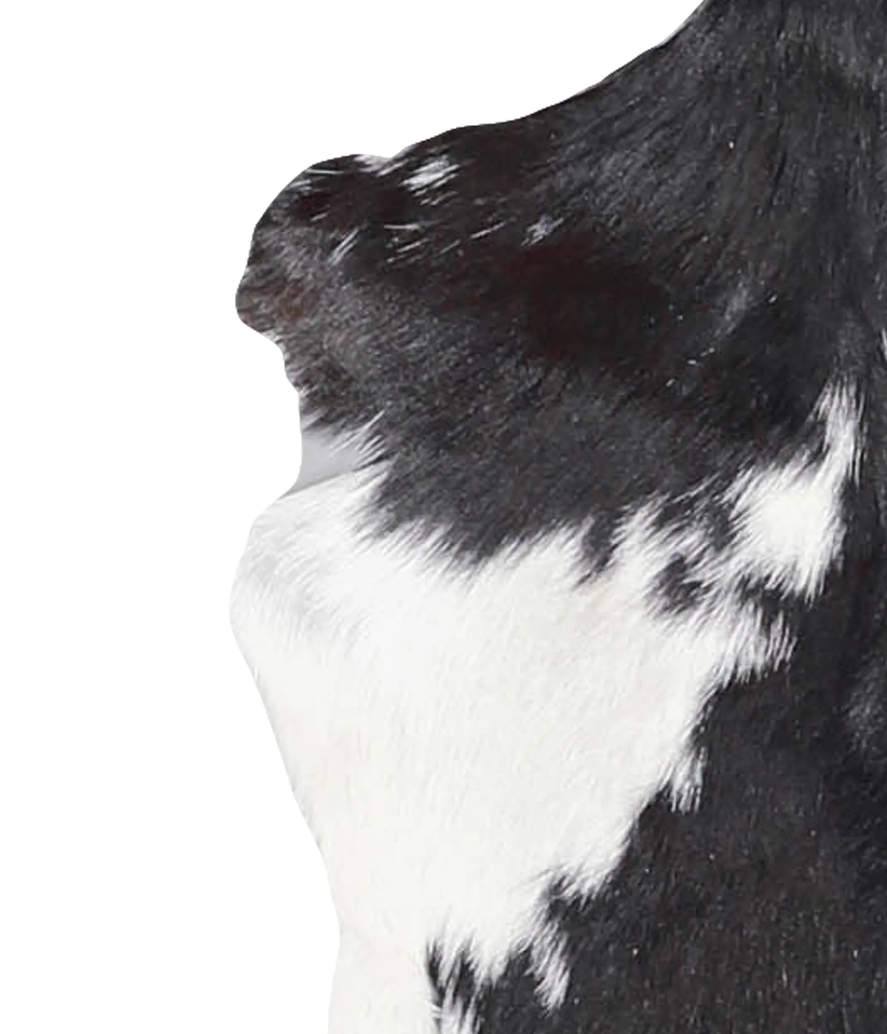 Goatskin Approx 2'3 #A27550 by Hudson Hides