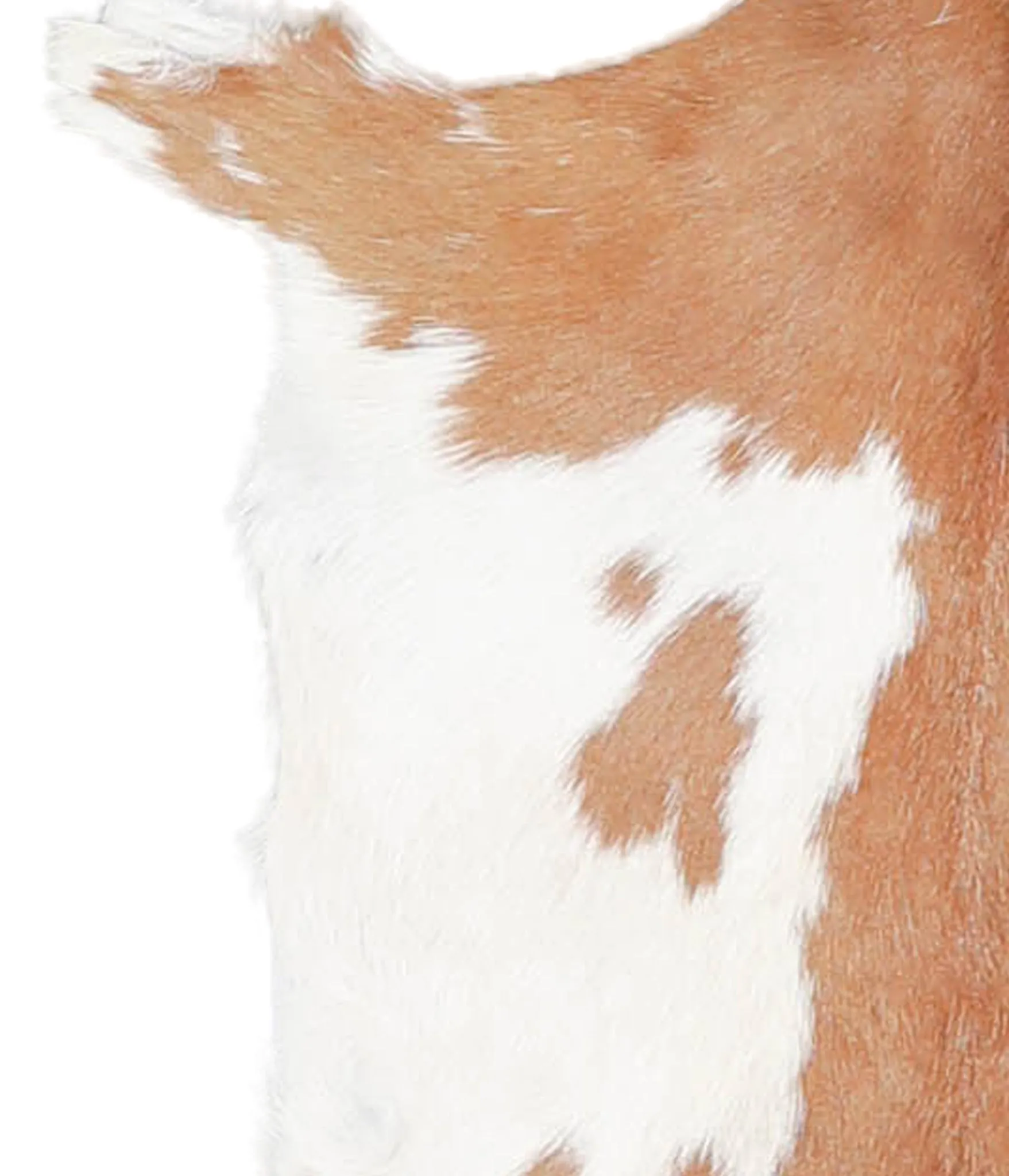 Goatskin Approx 2'3 #A27599 by Hudson Hides