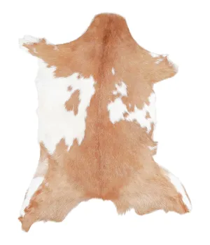 Goatskin Approx 2'3 #A27599 by Hudson Hides