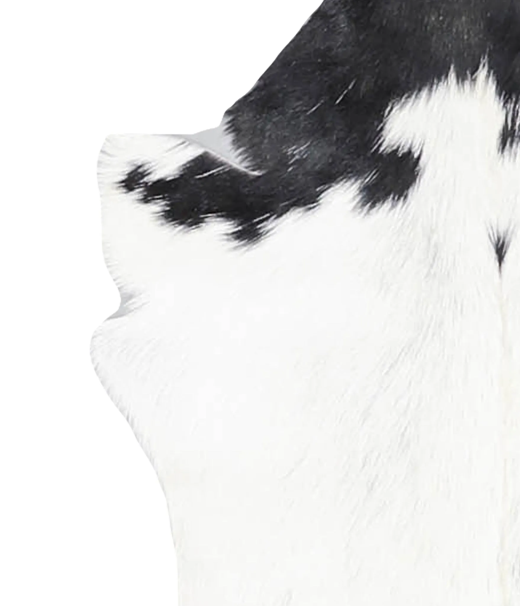 Goatskin Approx 2'3 #A27624 by Hudson Hides