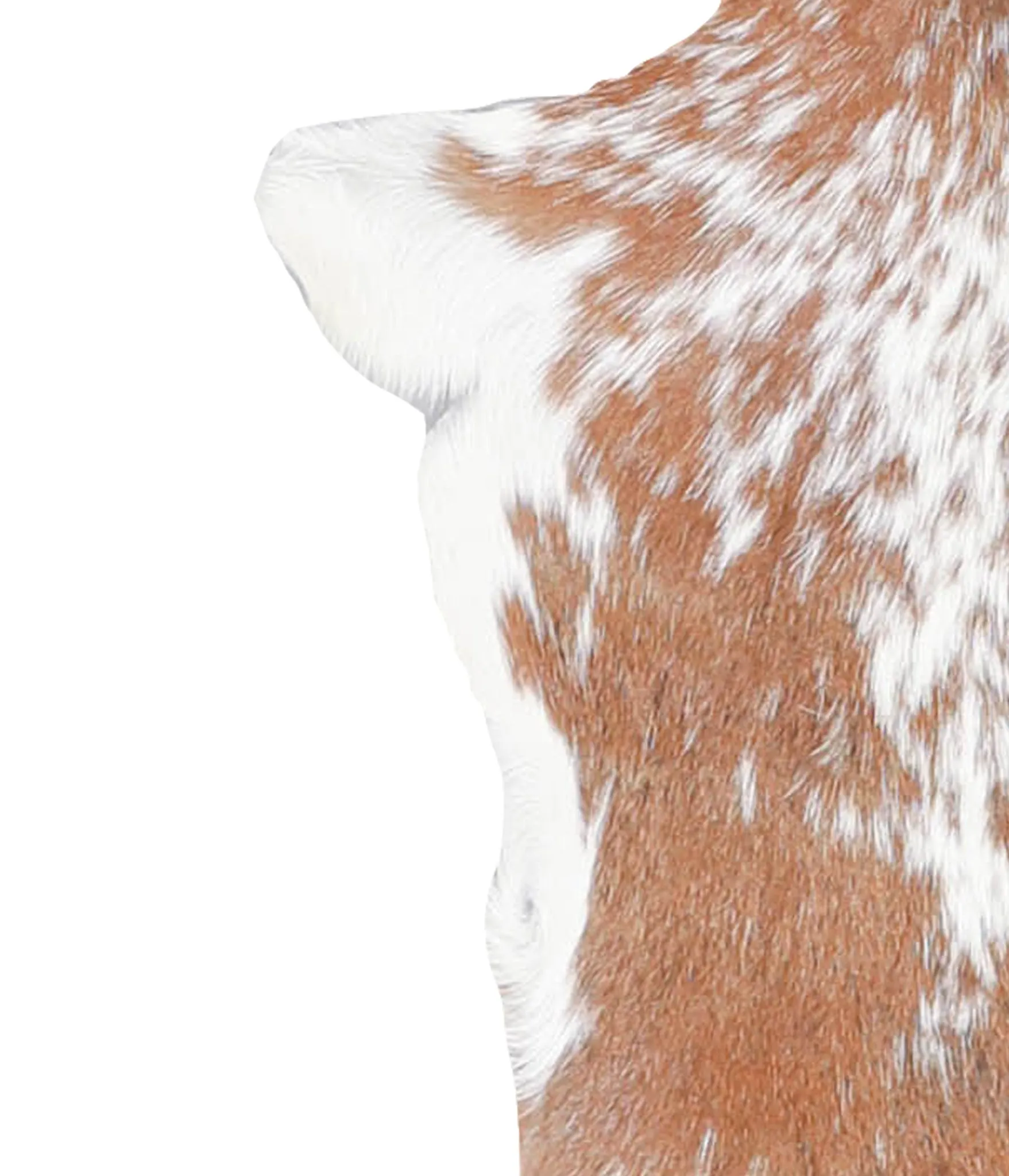 Goatskin Approx 2'3 #A27717 by Hudson Hides