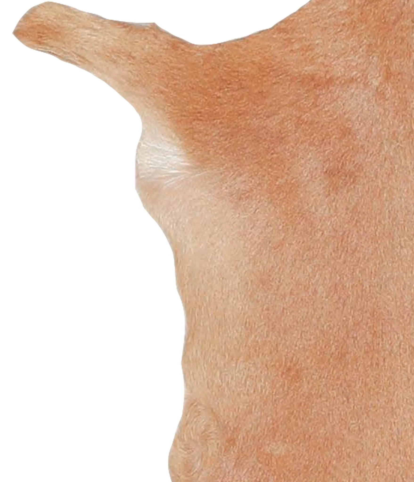 Goatskin Approx 2'3 #A27751 by Hudson Hides
