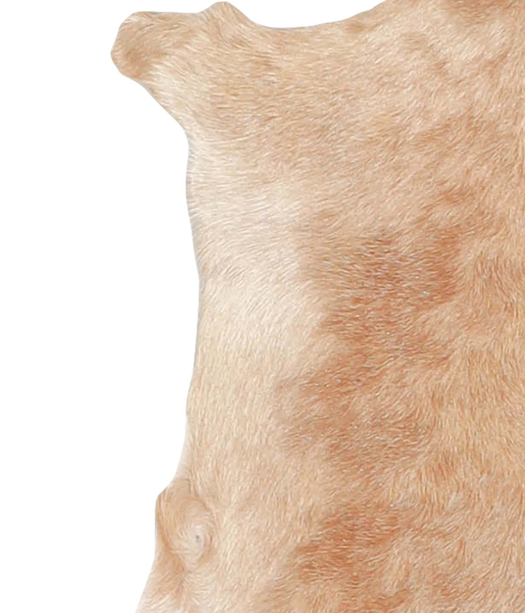 Goatskin Approx 2'3 #A27755 by Hudson Hides