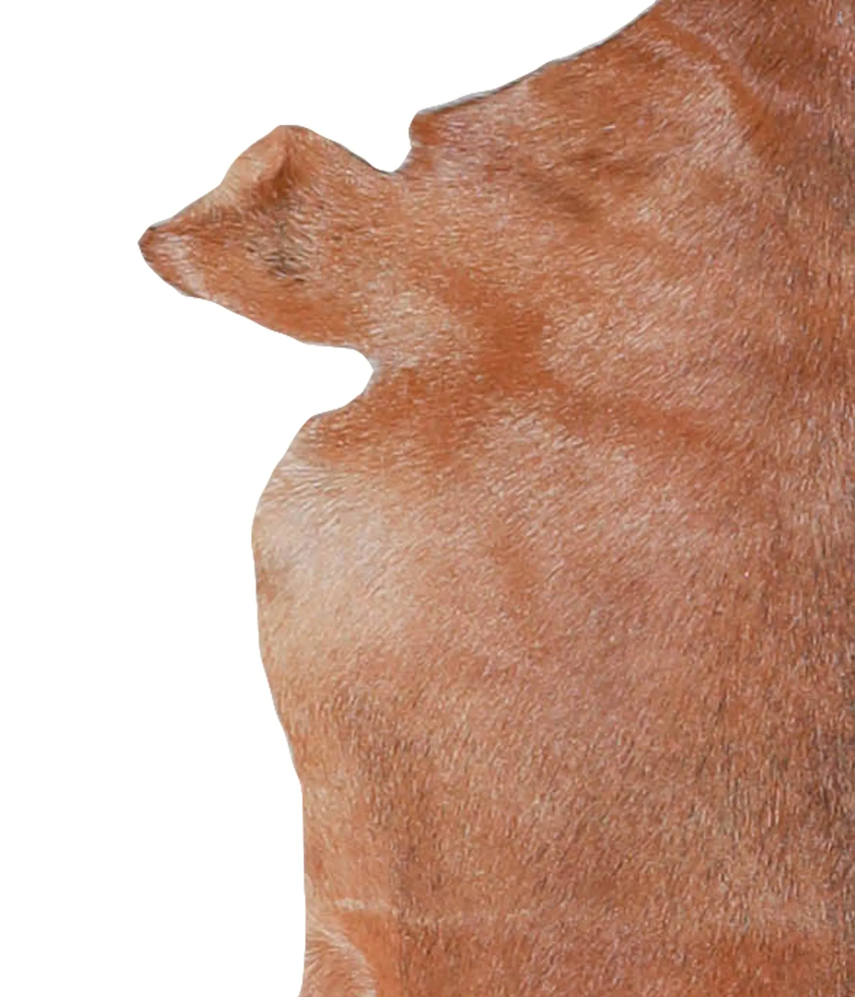 Goatskin Approx 2'3 #A27776 by Hudson Hides
