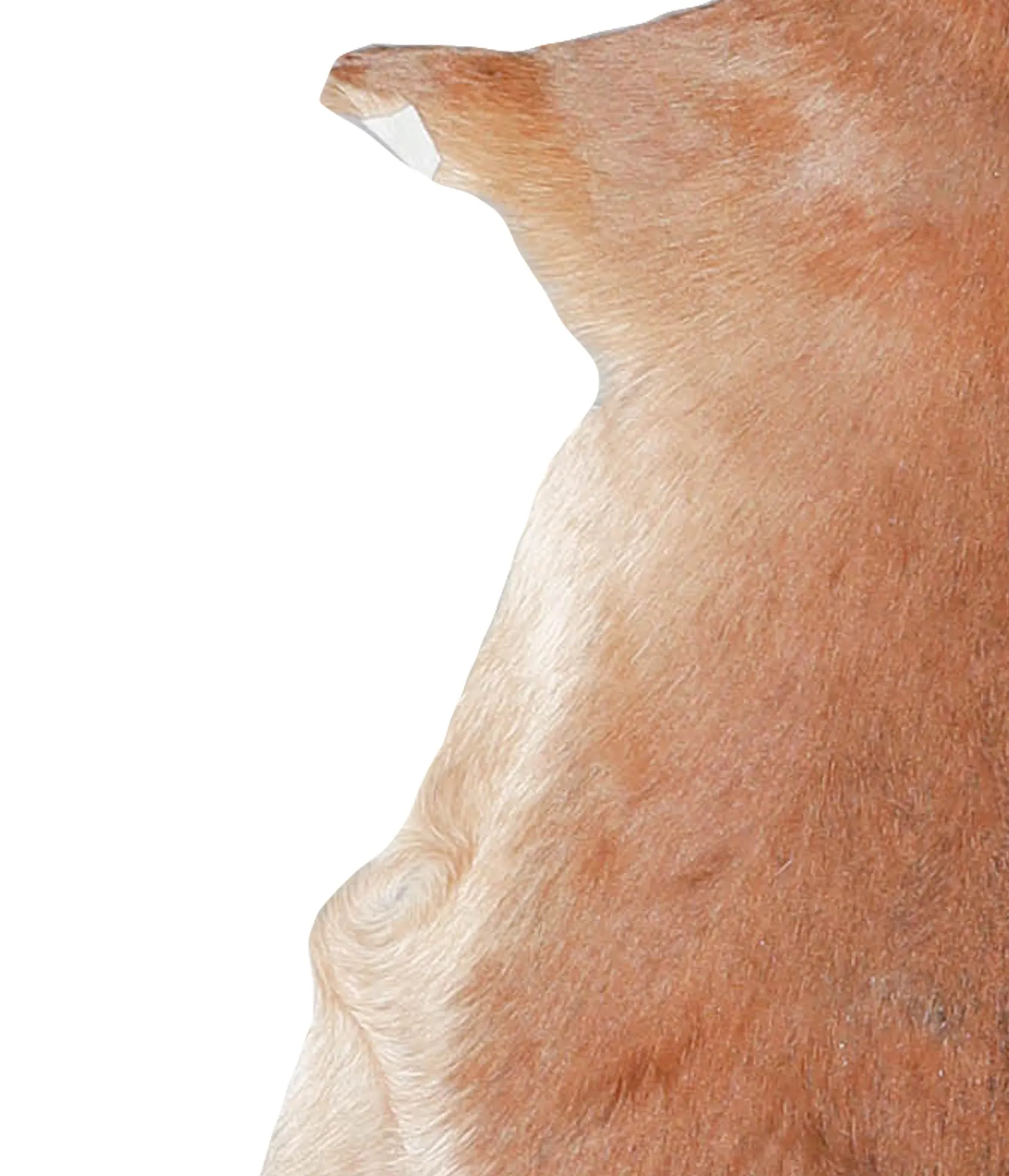 Goatskin Approx 2'3 #A27784 by Hudson Hides