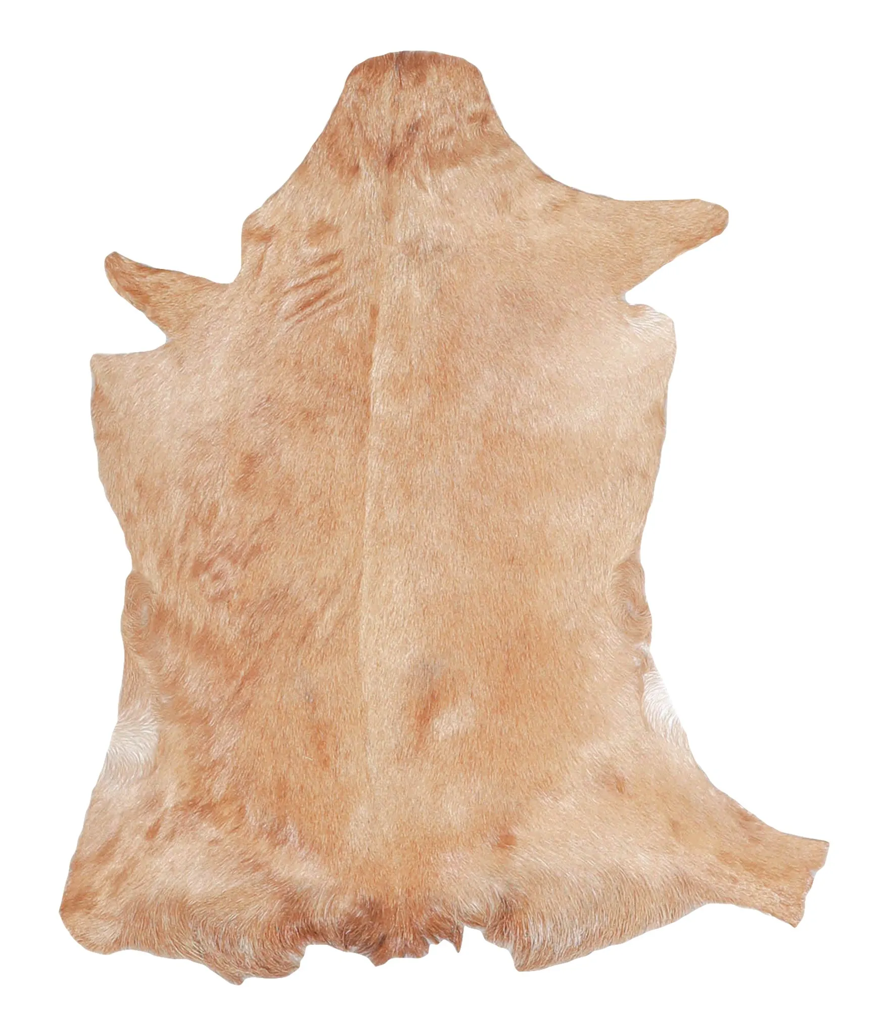 Goatskin Approx 2'3 #A27886 by Hudson Hides