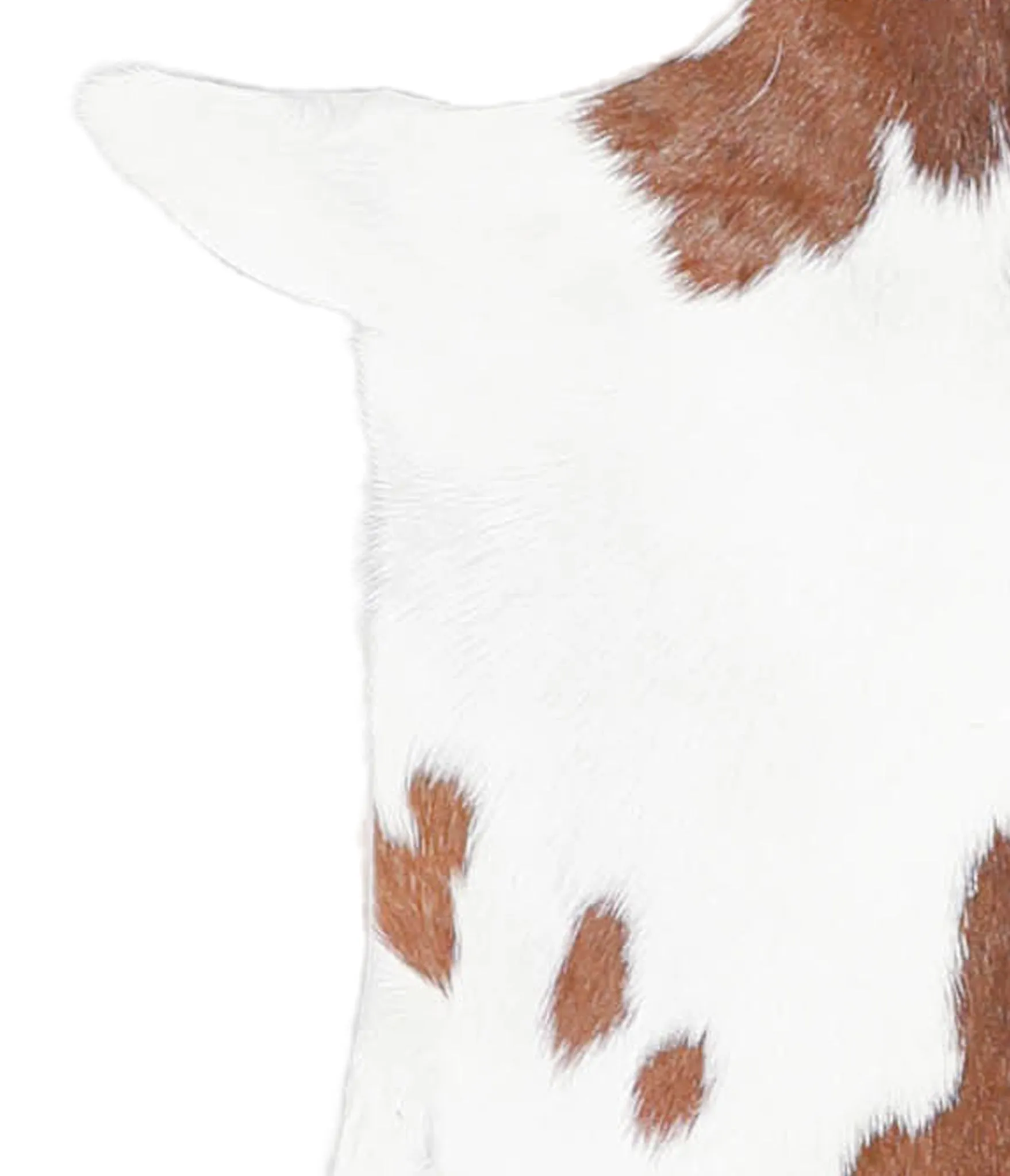 Goatskin Approx 2'3 #A27971 by Hudson Hides