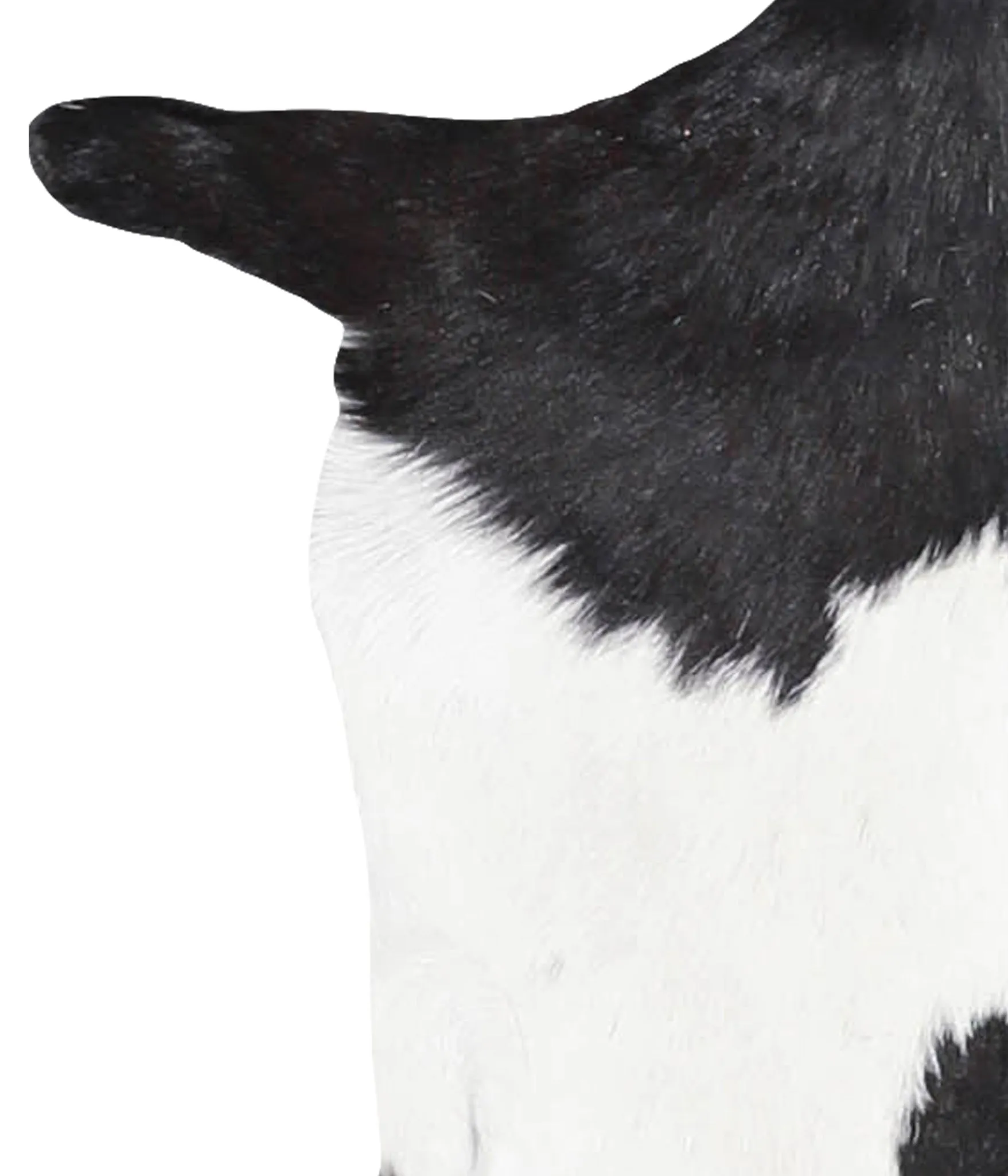 Goatskin Approx 2'3 #A28015 by Hudson Hides