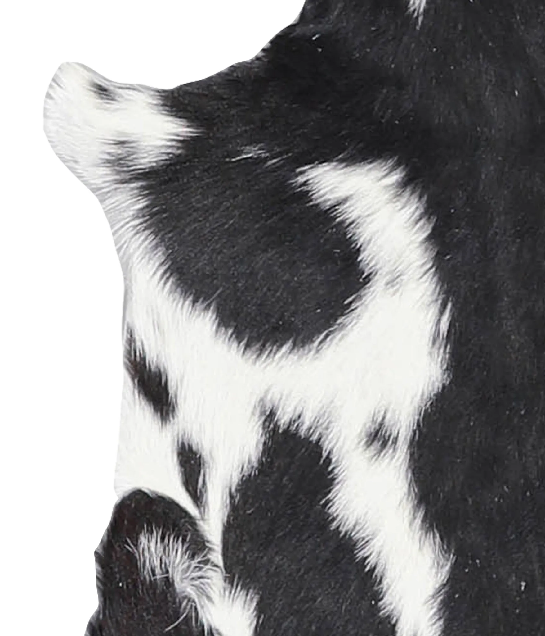 Goatskin Approx 2'3 #A28207 by Hudson Hides
