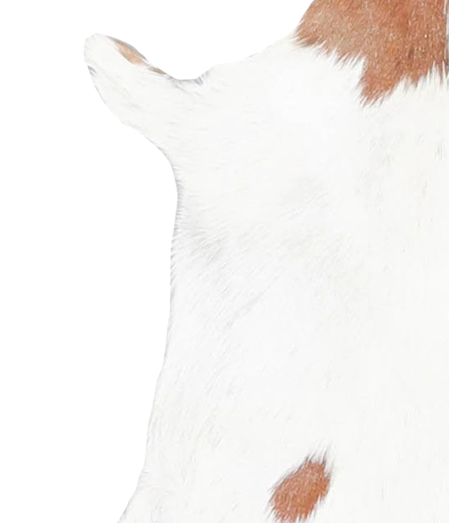Goatskin Approx 2'3 #A28262 by Hudson Hides