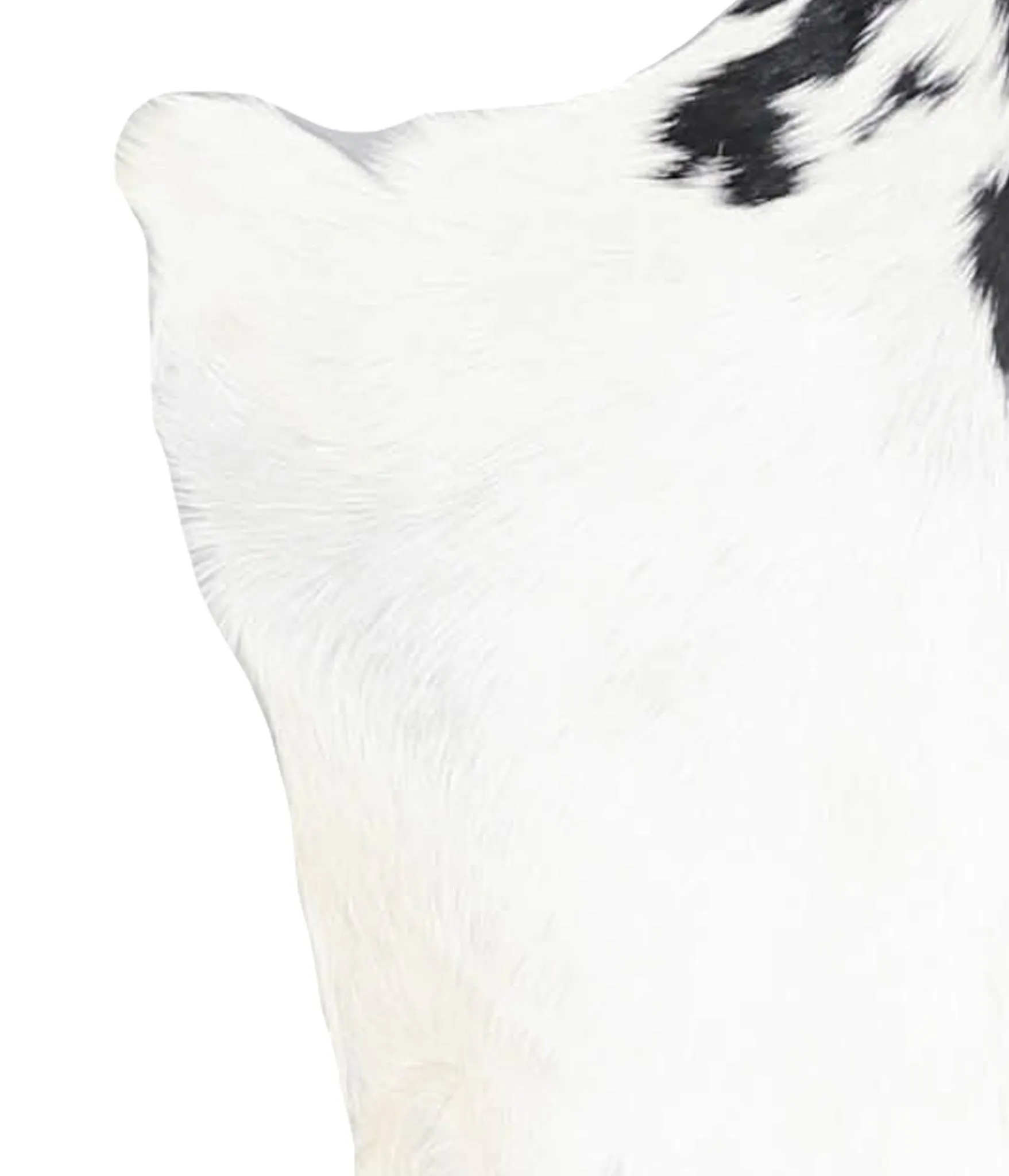 Goatskin Approx 2'3 #A28297 by Hudson Hides