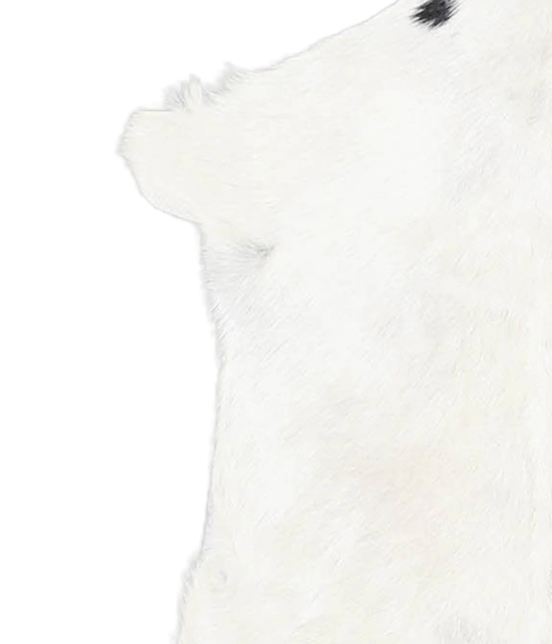 Goatskin Approx 2'3 #A28314 by Hudson Hides